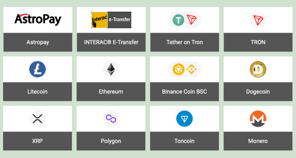 Melbet payment options